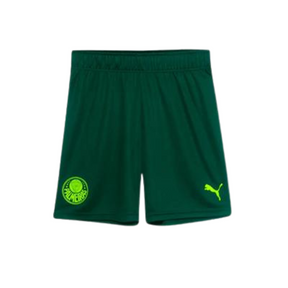 Conjunto Infantil Palmeiras Puma 23/24 Third