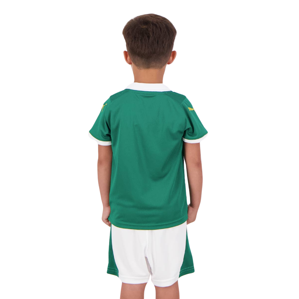 Kit Infantil Palmeiras I 2024/25 Puma